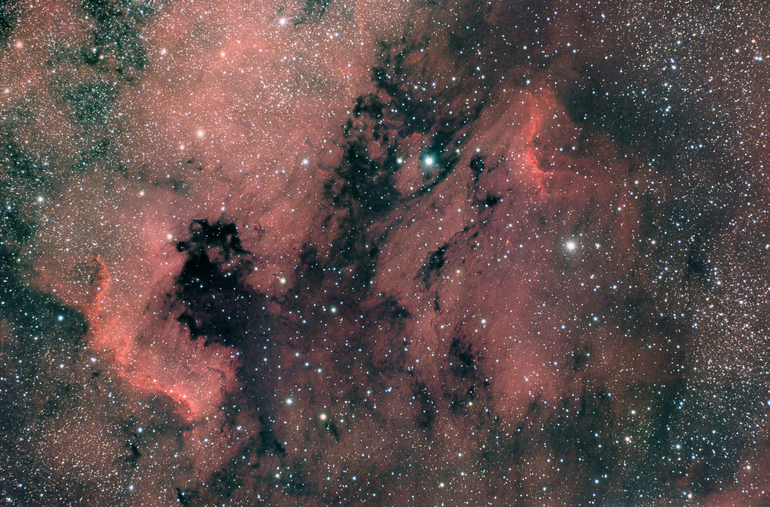 NGC7000/IC5070